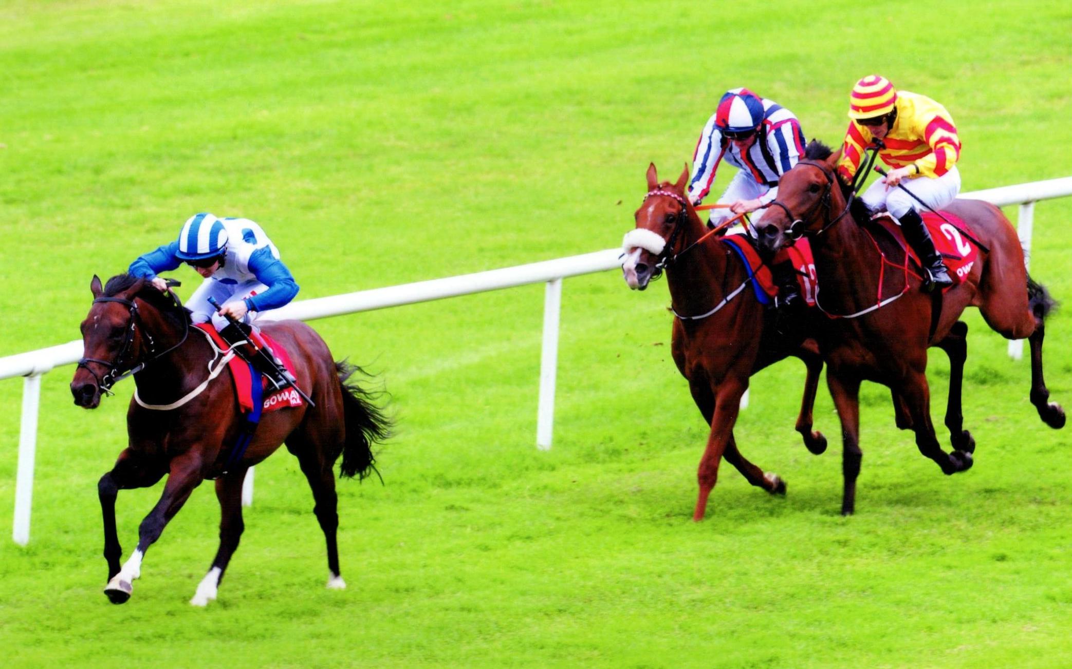 MASUCCI winning his maiden in fine style at Gowran Park 4th July 2017